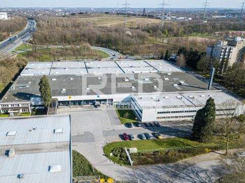 Gelsenkirchen Halle, Gelsenkirchen Hallenfläche