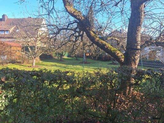 Garten mit Obstbäumen