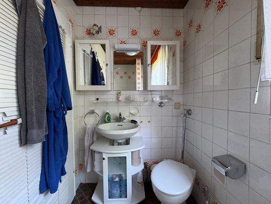 Duschbad Erdgeschoss