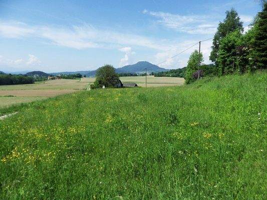 Blick Richtung Süd-Westen
