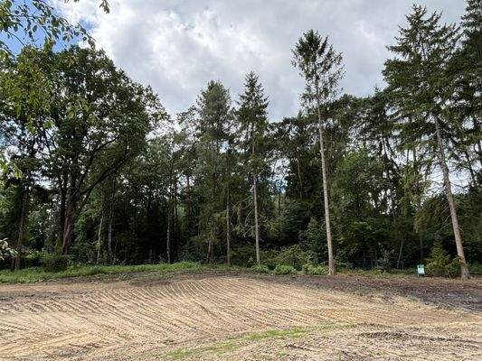 Grundstücke Stand 08-2025