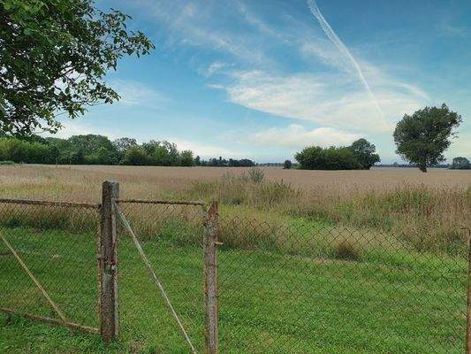 Blick auf das Nachbarsfeld