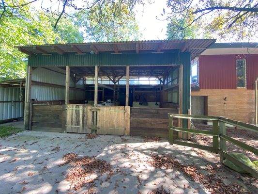 IMG_6293 (Kopie 1).jpg