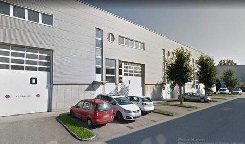 Linz Halle, Linz Hallenfläche