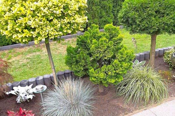 Impressionen Sommerzeit