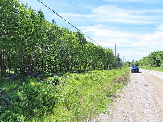 Cape Breton - Big Pond - East Bay Hills - Großzügi