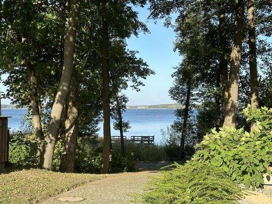 Zugang zum See & Steg