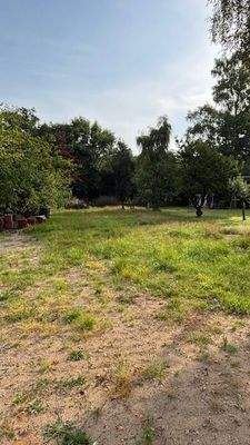 Bilder Baufrundstück (7).jpg