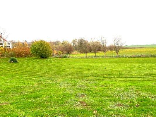 Grundstück zum Feld
