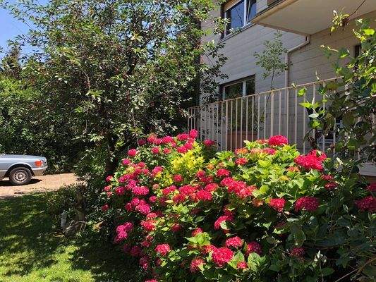 Herrlicher Sommergarten