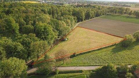 Stadthagen Bauernhöfe, Landwirtschaft, Stadthagen Forstwirtschaft