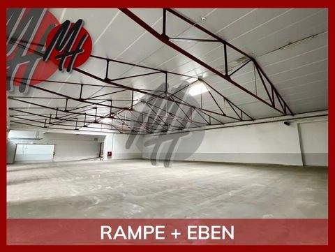 Dietzenbach Halle, Dietzenbach Hallenfläche