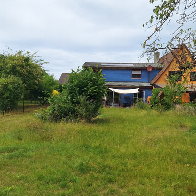 Blick Garten auf Haus.png