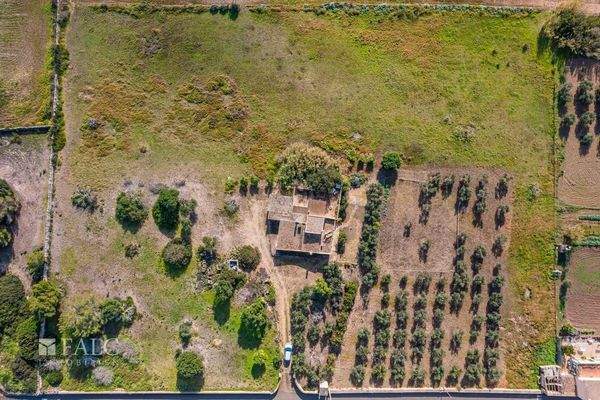 finca-colonia-de-sant-jordi-30