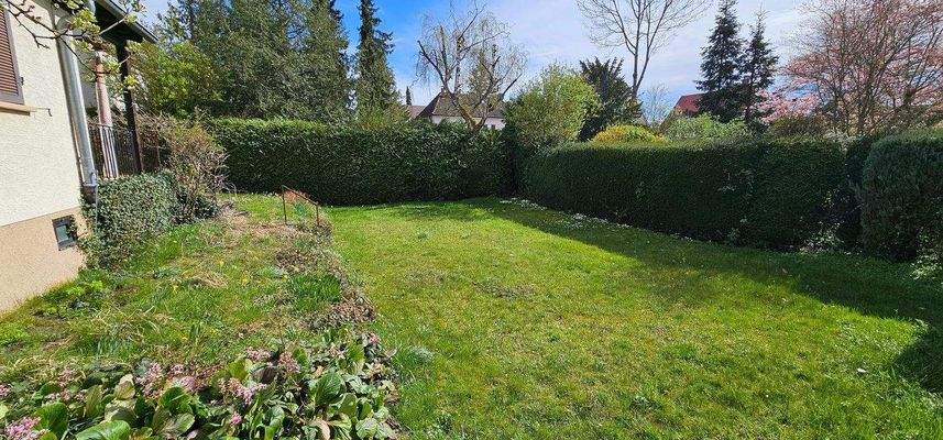 Garten hinter Abrisshaus