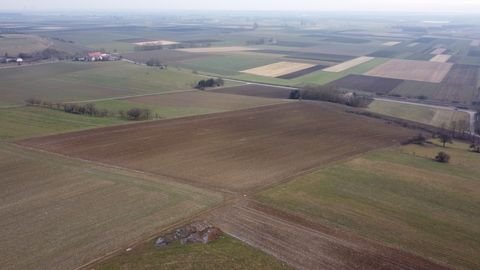 Rammingen Bauernhöfe, Landwirtschaft, Rammingen Forstwirtschaft