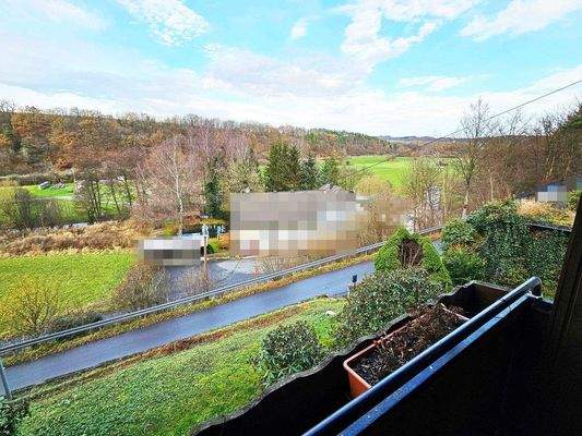 Ausblick vom Balkon OG