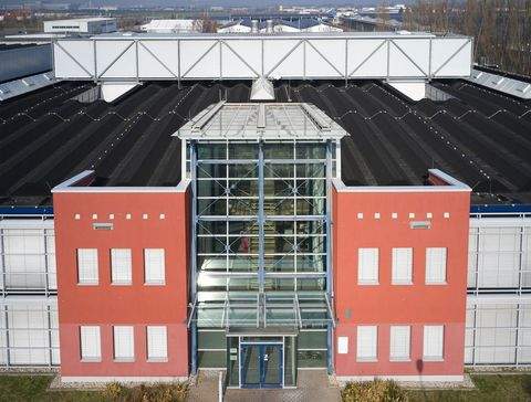 Erfurt Halle, Erfurt Hallenfläche