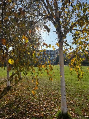 Wohnpark Frienstedt 