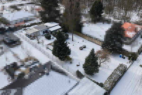 Wald direkt vor der Haustür