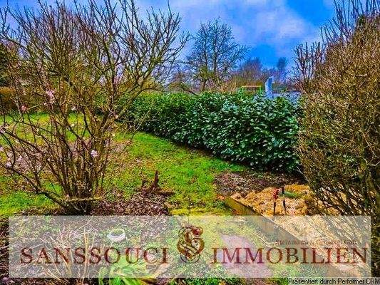 Lorbeerhecke als Einfriedung