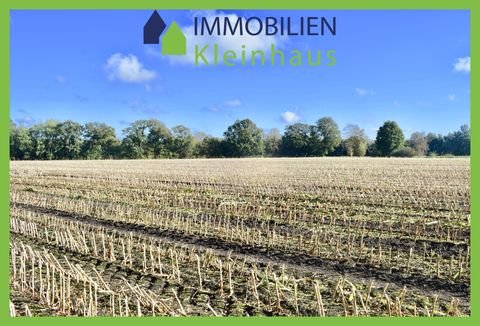 Saterland / Strücklingen Bauernhöfe, Landwirtschaft, Saterland / Strücklingen Forstwirtschaft