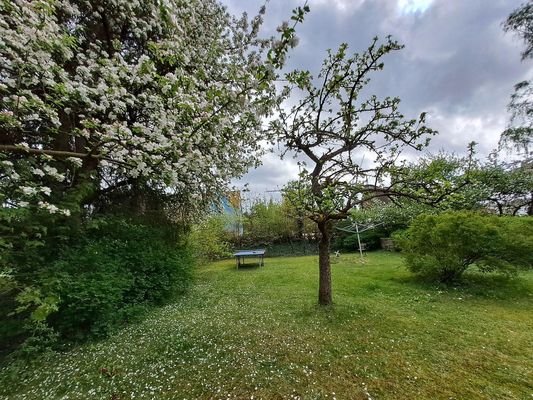 Garten mit Obstbäumen