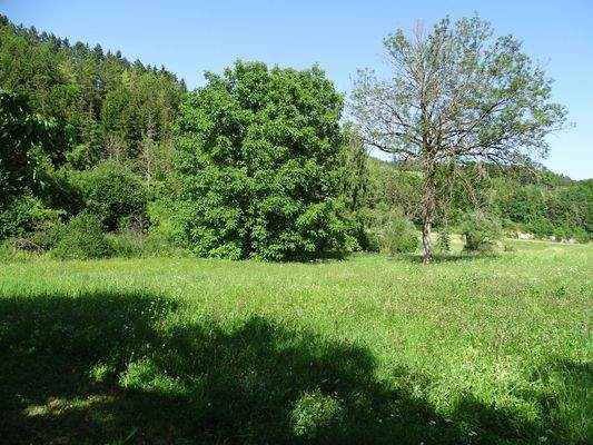 Gartengrundstück 1.JPG