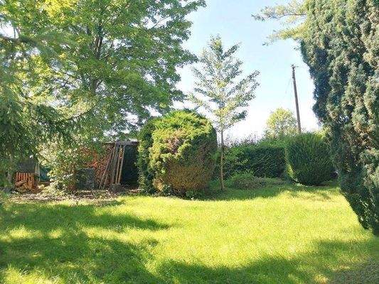 gewachsenes Grundstück