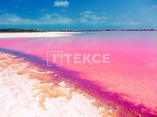 Modern Stylish Apartments in Complex in Torrevieja Alicante