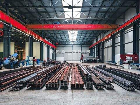 Puchheim Halle, Puchheim Hallenfläche