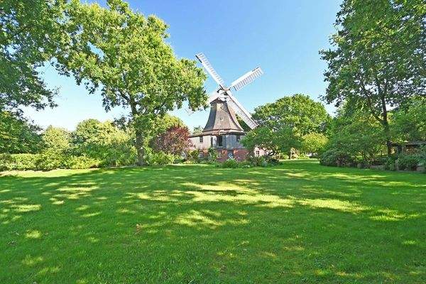 Blick aus dem Garten