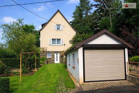 Reinsdorf Häuser, Reinsdorf Haus kaufen