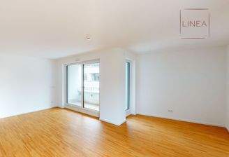 Wohnbereich mit offener Küche