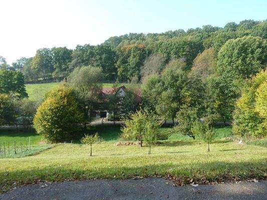 Blick von der Erschließungsstraße übers Grundstück ins Kirschental