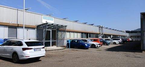 Spaichingen Halle, Spaichingen Hallenfläche