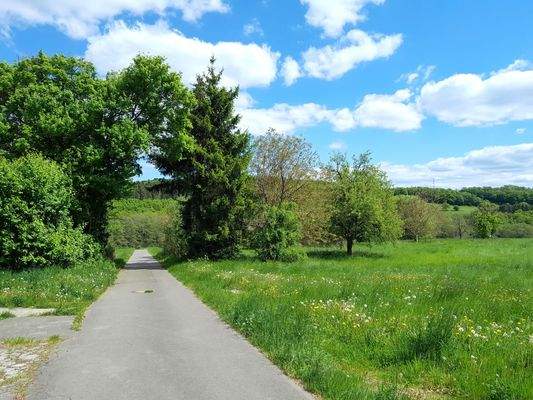 öffentlicher Wirtschaftsweg