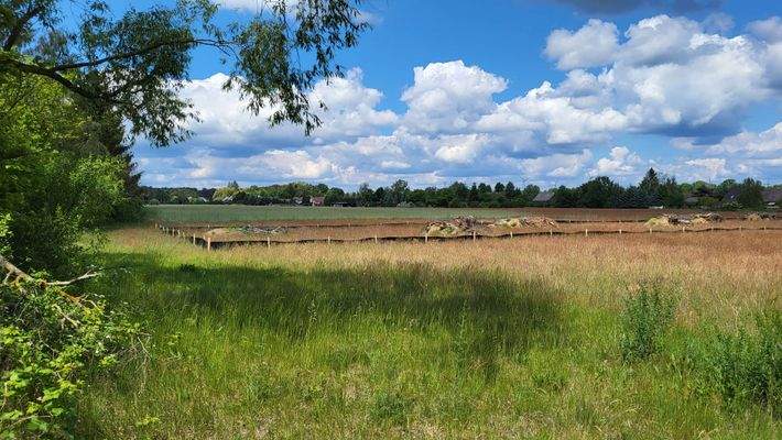 Blick über die Felder