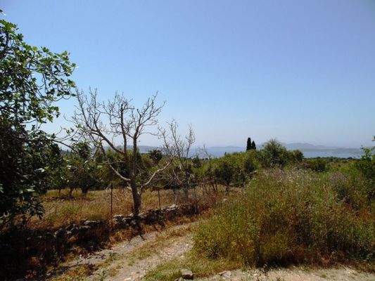 das Nachbargrundstück