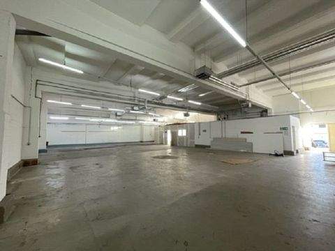 Potsdam Halle, Potsdam Hallenfläche