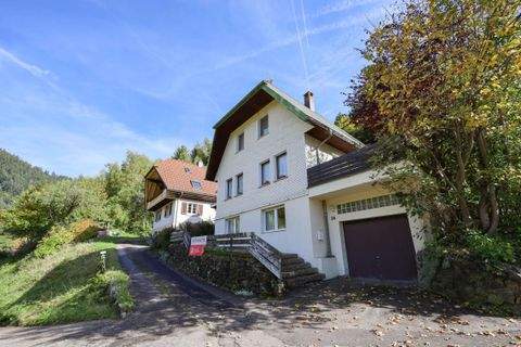 Todtnau Häuser, Todtnau Haus kaufen