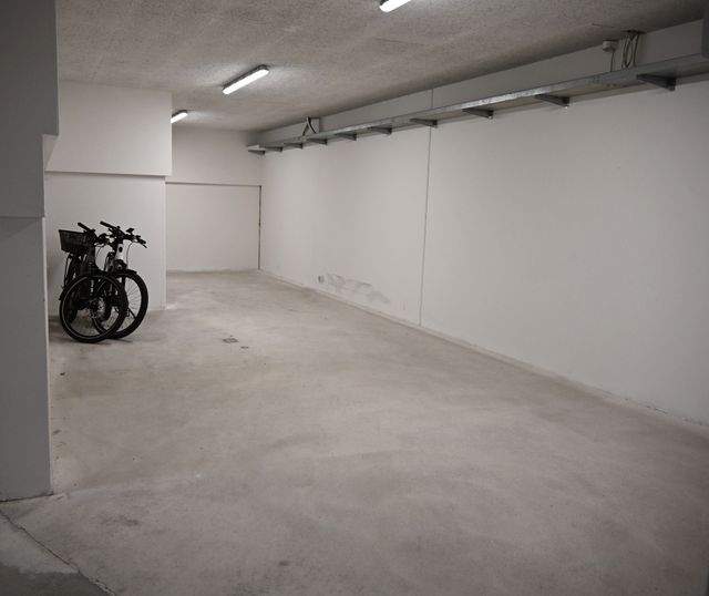 Gem. Fahrradkeller