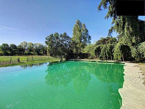 ST REMY DE PROVENCE Häuser, ST REMY DE PROVENCE Haus kaufen