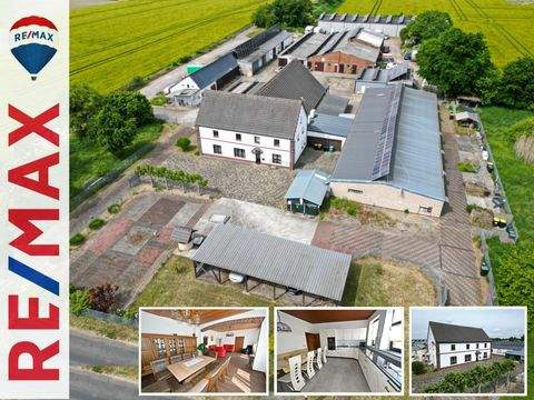 Bedburg-Hau Häuser, Bedburg-Hau Haus kaufen