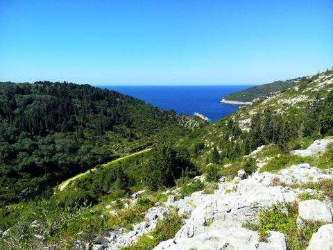 Ionische Inseln Bauernhöfe, Landwirtschaft, Ionische Inseln Forstwirtschaft