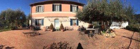 Forte dei Marmi Häuser, Forte dei Marmi Haus kaufen