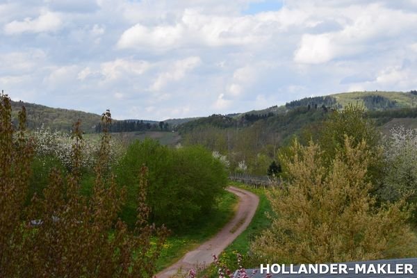 Blick im Freien 2