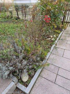 Der Weg zu Ihrem neuen Zuhause...