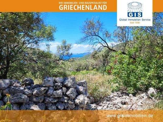 Olivenbäume inklusive