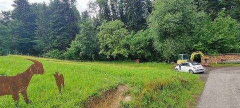 Hohenweiler Grundstücke, Hohenweiler Grundstück kaufen